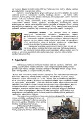 Atliekos ir ekologija 9 puslapis