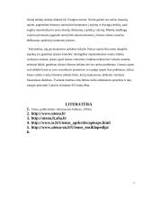 Atmosferos apsaugos Utenos rajone įvertinimas 11 puslapis