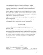 Atmosferos tarša 13 puslapis