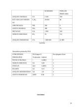 Atmosferos tarša 14 puslapis