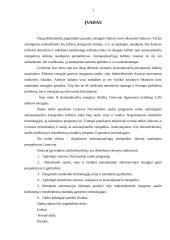 Atsinaujinantys energijos šaltiniai bei jų naudojimo perspektyvos Lietuvoje 2 puslapis