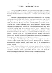 Atsinaujinantys energijos šaltiniai bei jų naudojimo perspektyvos Lietuvoje 16 puslapis