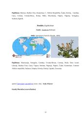 Audėjų (Ploceidae) įvairovė ir paplitimas 13 puslapis