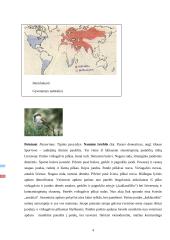 Audėjų (Ploceidae) įvairovė ir paplitimas 4 puslapis