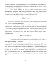 Augalija, miškai Lietuvoje, jų apsaugos problemos 6 puslapis