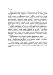 Aukštaitijos nacionalinio parko apžvalga 4 puslapis