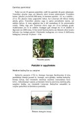 Aukštaitijos nacionalinio parko apžvalga 5 puslapis