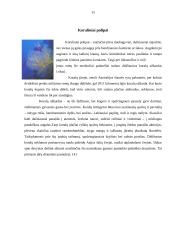 Kelionė į Australiją 15 puslapis