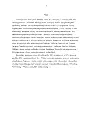 Kelionė į Australiją 7 puslapis