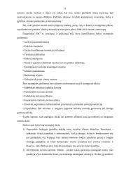 Australijos turizmo strategijos apžvalga 9 puslapis