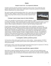 Automobilių patikimumo palyginimas: Toyota Avensis ir Peugeot 406 2 puslapis