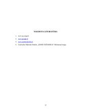 Automobilių transporto eismo reguliavimo būdai 12 puslapis