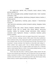 Automobilių transporto eismo reguliavimo būdai 3 puslapis