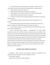 Automobilių transporto eismo reguliavimo būdai 5 puslapis