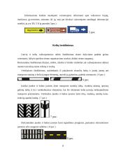 Automobilių transporto eismo reguliavimo būdai 8 puslapis