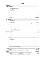 Avalynės ir drabužių parduotuvės reorganizavimas į specializuotą moteriškos avalynės parduotuvę: UAB "Agnitas" 2 puslapis