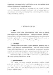 Avalynės ir drabužių parduotuvės reorganizavimas į specializuotą moteriškos avalynės parduotuvę: UAB "Agnitas" 11 puslapis