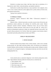 Avalynės ir drabužių parduotuvės reorganizavimas į specializuotą moteriškos avalynės parduotuvę: UAB "Agnitas" 12 puslapis