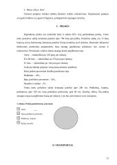 Avalynės ir drabužių parduotuvės reorganizavimas į specializuotą moteriškos avalynės parduotuvę: UAB "Agnitas" 13 puslapis