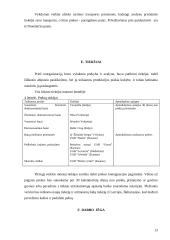 Avalynės ir drabužių parduotuvės reorganizavimas į specializuotą moteriškos avalynės parduotuvę: UAB "Agnitas" 14 puslapis