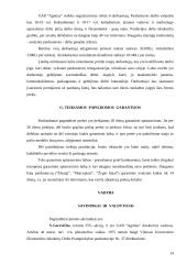 Avalynės ir drabužių parduotuvės reorganizavimas į specializuotą moteriškos avalynės parduotuvę: UAB "Agnitas" 15 puslapis