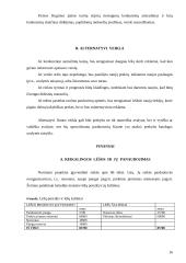 Avalynės ir drabužių parduotuvės reorganizavimas į specializuotą moteriškos avalynės parduotuvę: UAB "Agnitas" 17 puslapis