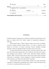 Avalynės ir drabužių parduotuvės reorganizavimas į specializuotą moteriškos avalynės parduotuvę: UAB "Agnitas" 3 puslapis