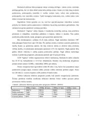 Avalynės ir drabužių parduotuvės reorganizavimas į specializuotą moteriškos avalynės parduotuvę: UAB "Agnitas" 4 puslapis