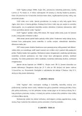 Avalynės ir drabužių parduotuvės reorganizavimas į specializuotą moteriškos avalynės parduotuvę: UAB "Agnitas" 6 puslapis