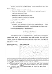 Avalynės ir drabužių parduotuvės reorganizavimas į specializuotą moteriškos avalynės parduotuvę: UAB "Agnitas" 7 puslapis