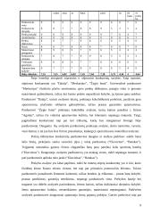 Avalynės ir drabužių parduotuvės reorganizavimas į specializuotą moteriškos avalynės parduotuvę: UAB "Agnitas" 10 puslapis