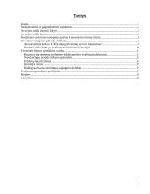 Aviacinio transporto plėtotė ir priežiūra 2 puslapis