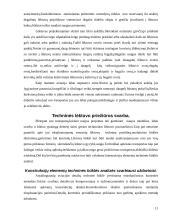 Aviacinio transporto plėtotė ir priežiūra 11 puslapis