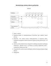 Aviacinio transporto plėtotė ir priežiūra 13 puslapis