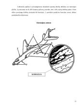 Aviacinio transporto plėtotė ir priežiūra 15 puslapis