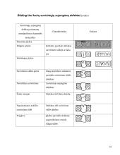 Aviacinio transporto plėtotė ir priežiūra 16 puslapis