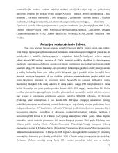 Aviacinio transporto plėtotė ir priežiūra 5 puslapis