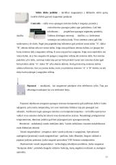 Bankų apsauga signalizacijų priemonėmis 11 puslapis