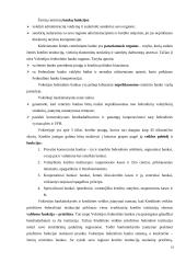Bankų raidos istorinė apžvalga 16 puslapis