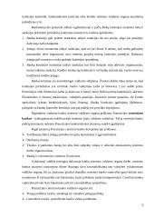 Bankų raidos istorinė apžvalga 20 puslapis