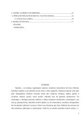 Bankų statistika 2 puslapis