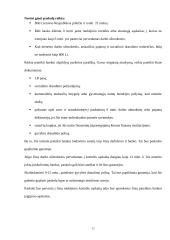 Bankų teikiamos paskolos gyventojams 11 puslapis