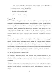 Bankų teikiamos paskolos gyventojams 13 puslapis