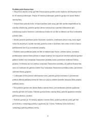 Bankų teikiamos paskolos gyventojams 17 puslapis