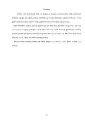 Bankų teikiamos paskolos gyventojams 19 puslapis