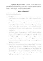 Bankų teikiamos paskolos gyventojams 5 puslapis