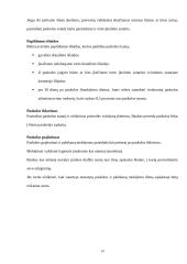 Bankų teikiamos paskolos gyventojams 9 puslapis