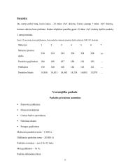 Bankų teikiamos paskolos gyventojams 10 puslapis