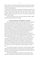 Bedarbystė Lietuvoje 16 puslapis