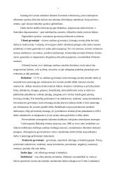 Bedarbystė Lietuvoje 5 puslapis